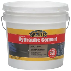 DAMTITE Hydraulic Cement, 10 cu-in Coverage Area, 10lb Pail