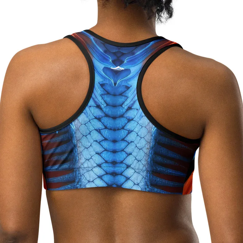 Dragon Sports bra