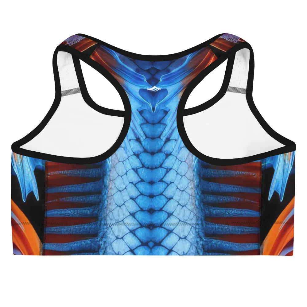 Dragon Sports bra