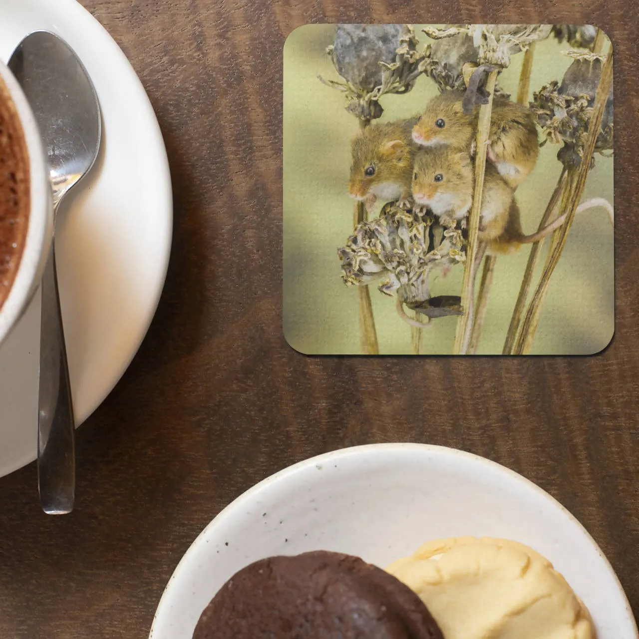 Three Harvest Mice Coaster