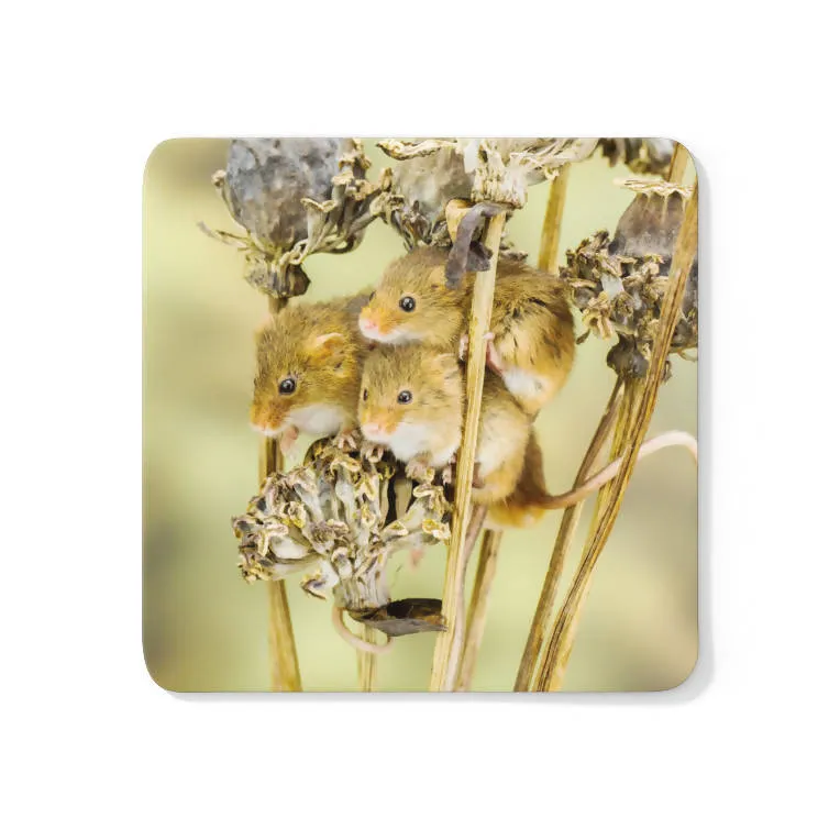 Three Harvest Mice Coaster